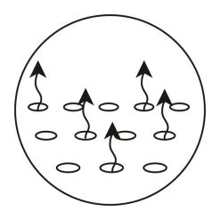 Alvi Liloli Matratze 70 X 140 Cm Mit TENCEL® & Dry Bezug